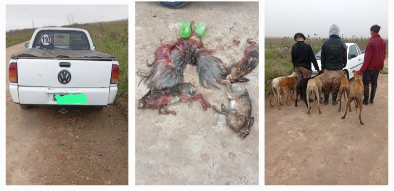 Tres jvenes sancionados por cazar con galgos